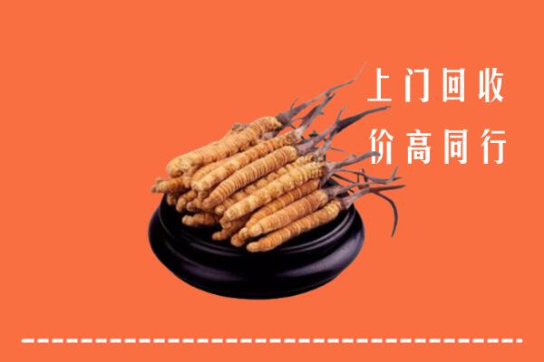 高价求购：绵阳盐亭回收散虫草