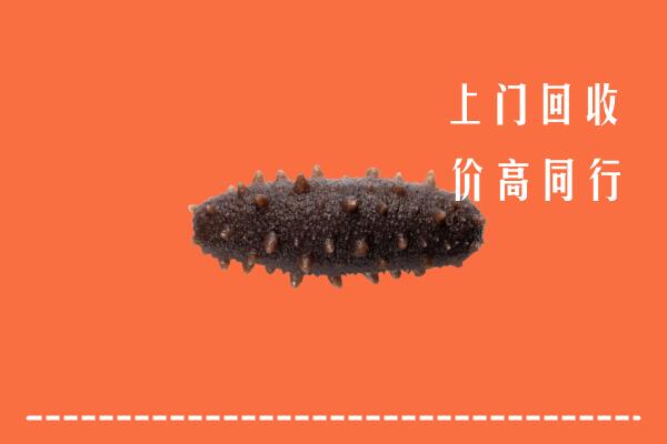 高价求购：绵阳盐亭回收海参